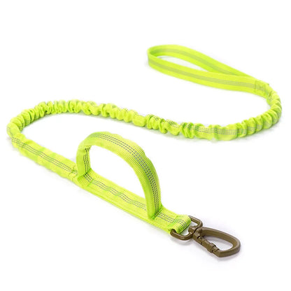 Bungee Dog Leash with Dual Handle — Anti-Shock, Padded