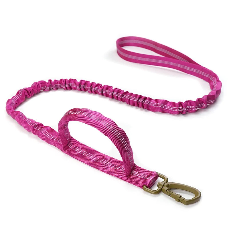 Bungee Dog Leash with Dual Handle — Anti-Shock, Padded