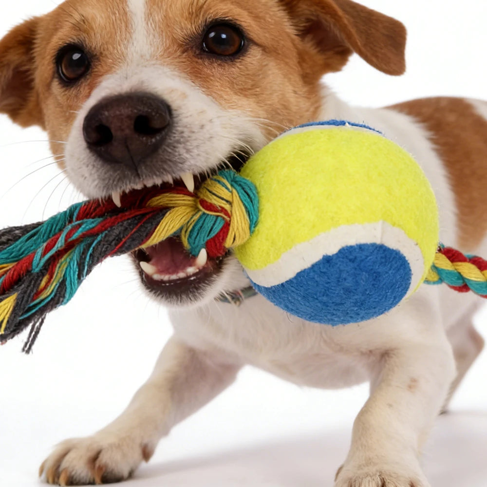 Wholesale Custom Logo Chew Dog Rope Toys with Tennis Ball