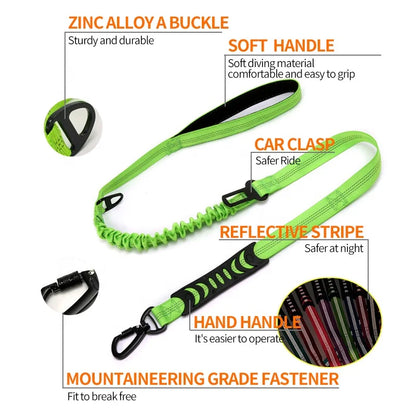 2-in-1 Elastic Dog Running Leash & Car Seat Belt | Retractable Safety Leash