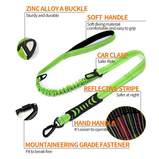 2-in-1 Elastic Dog Running Leash & Car Seat Belt | Retractable Safety Leash