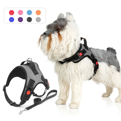 No-Pull Reversible Dog Vest Harness with Leash | Reflective Adjustable