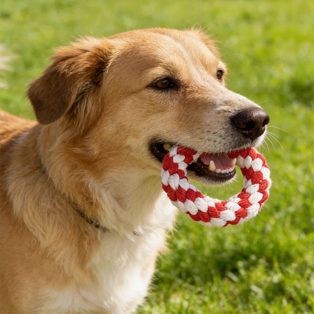 Christmas Round Dog Rope Chew Toy | 11cm Red & White | Festive Holiday Dog Toy
