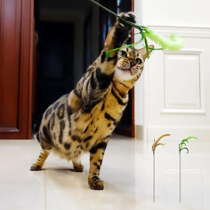 Interactive Cat Teaser Stick | Feather & Plush Cat Wand Toy | 7 Styles