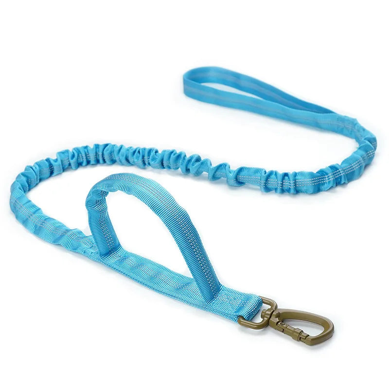 Bungee Dog Leash with Dual Handle — Anti-Shock, Padded