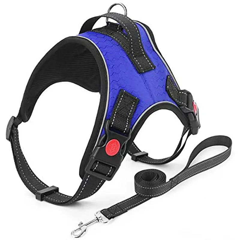 No-Pull Reversible Dog Vest Harness with Leash | Reflective Adjustable