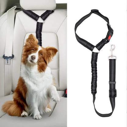 Dog Car Seat Belt | Adjustable Bungee Nylon Safety Leash for Dogs & Cats