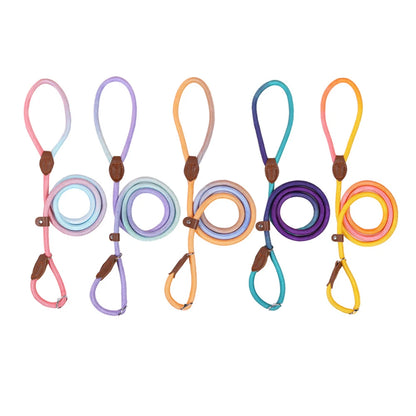 Dog Collar and Leash Set — Adjustable Nylon Pet Lead