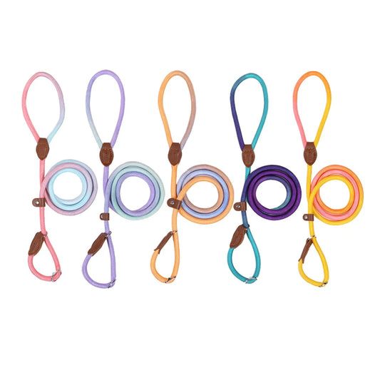 Dog Collar and Leash Set — Adjustable Nylon Pet Lead