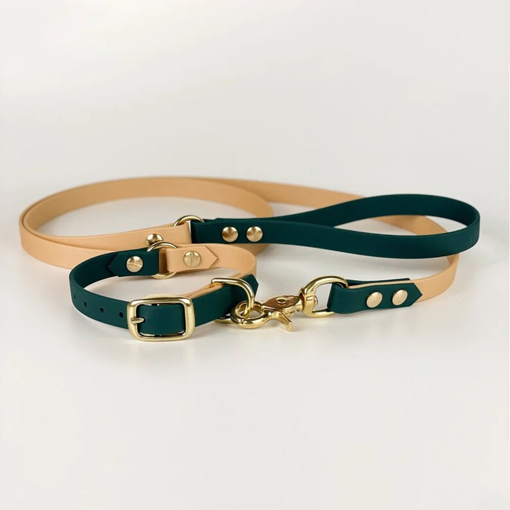 PVC Coated Dog Collar and Leash Set – Waterproof Training Collar with Brass Hardware