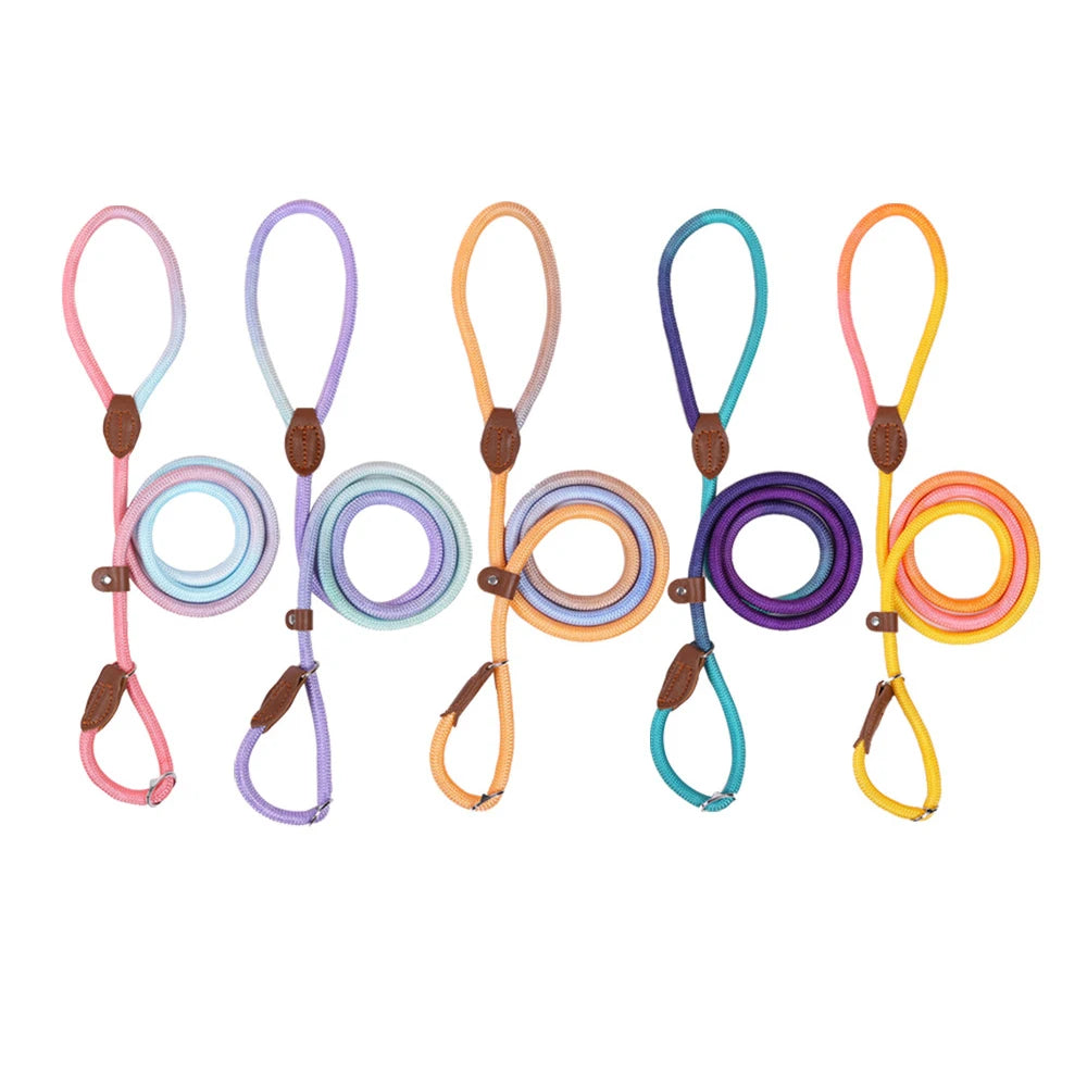 Dog Collar and Leash Set — Adjustable Nylon Pet Lead