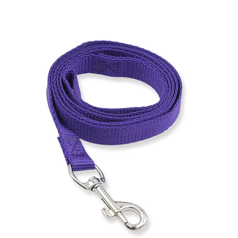 Colorful Nylon Dog Leash 150cm — Lightweight Fluorescent Walking Lead for Small Dogs