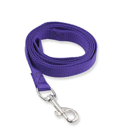 Colorful Nylon Dog Leash 150cm — Lightweight Fluorescent Walking Lead for Small Dogs