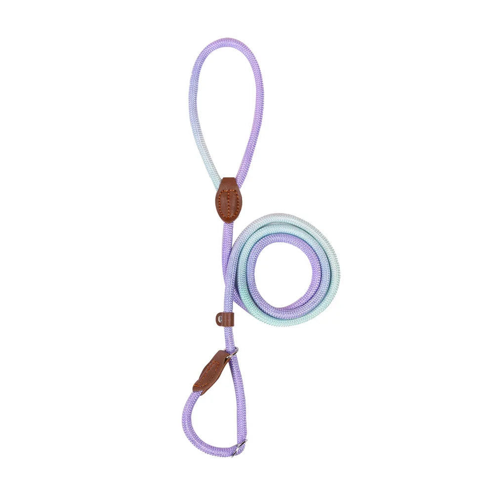 Dog Collar and Leash Set — Adjustable Nylon Pet Lead