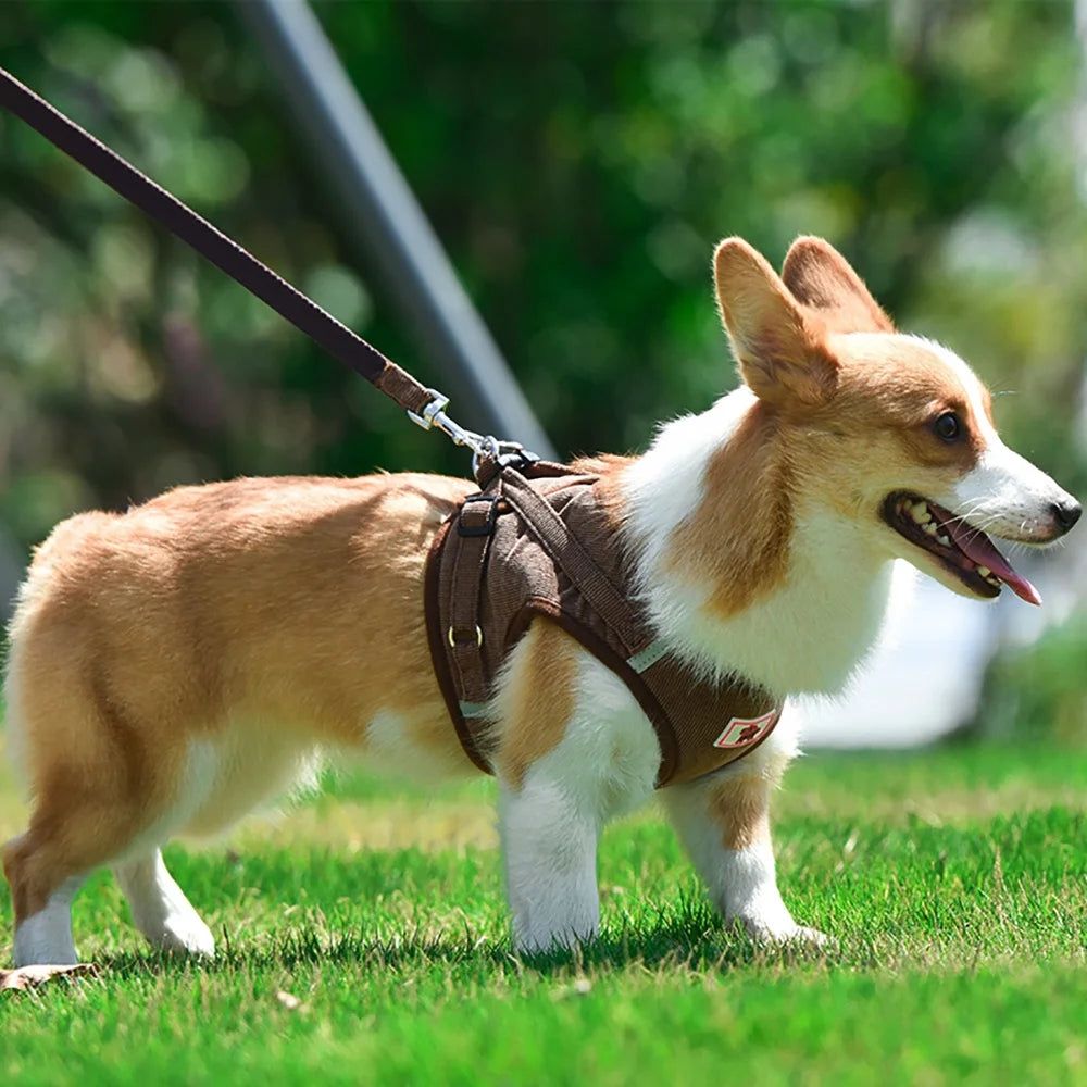 Corduroy Cat & Dog Harness Set | Soft Adjustable Vest Harness with Leash