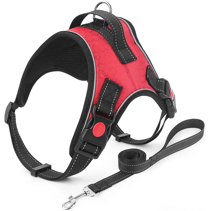 No-Pull Reversible Dog Vest Harness with Leash | Reflective Adjustable