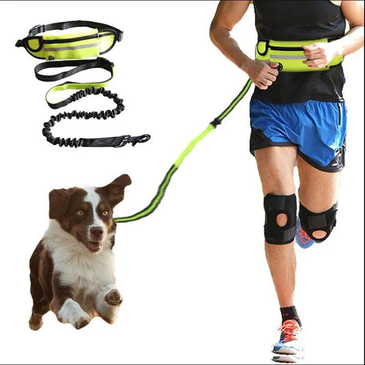 Reflective Hands-Free Running Dog Leash | Bungee Elastic Waist Belt