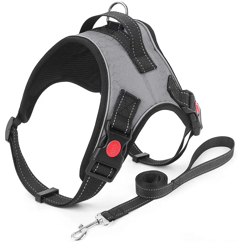 No-Pull Reversible Dog Vest Harness with Leash | Reflective Adjustable