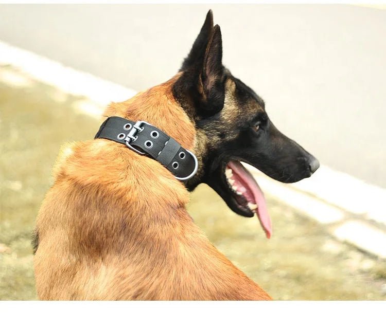 Tactical MOLLE Dog Collar | Heavy Duty Adjustable Nylon