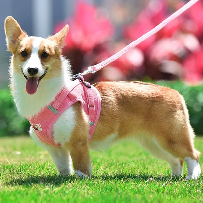 Corduroy Cat & Dog Harness Set | Soft Adjustable Vest Harness with Leash