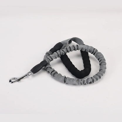 Elastic Bungee No-Pull Dog Leash | Soft Padded Handle Heavy Duty Nylon Training Lead