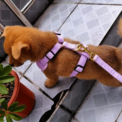 Luxury Velvet Dog Collar Set | Collar + Scarf + Bowtie | Quick-Release Buckle