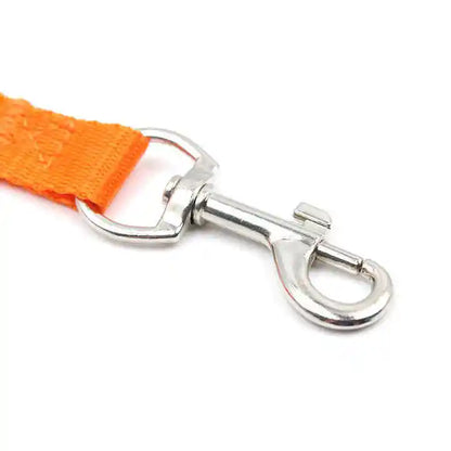 Colorful Nylon Dog Leash 150cm — Lightweight Fluorescent Walking Lead for Small Dogs