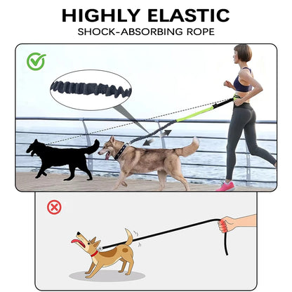 Hands-Free Dog Leash for Running – Bungee Leash Set with Waterproof Waist Pack