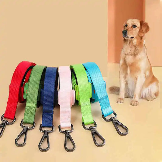 Personalized Dog Collar & Leash Set — Eco-Friendly Nylon with Quick-Release Zipper, Custom Logo