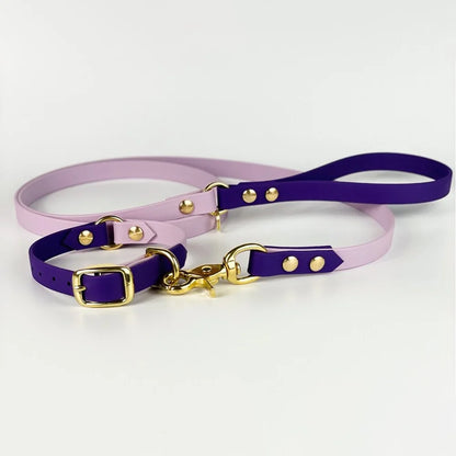 PVC Coated Dog Collar and Leash Set – Waterproof Training Collar with Brass Hardware