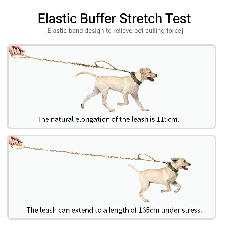 Bungee Dog Leash with Dual Handle — Anti-Shock, Padded