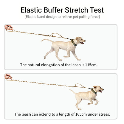 Bungee Dog Leash with Dual Handle — Anti-Shock, Padded