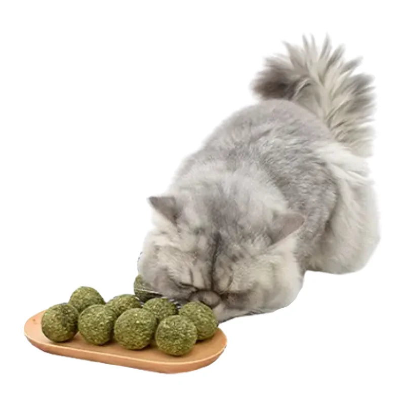 Catnip Ball Cat Toy | Natural Cat Grass Molar Teeth Cleaner | Wholesale