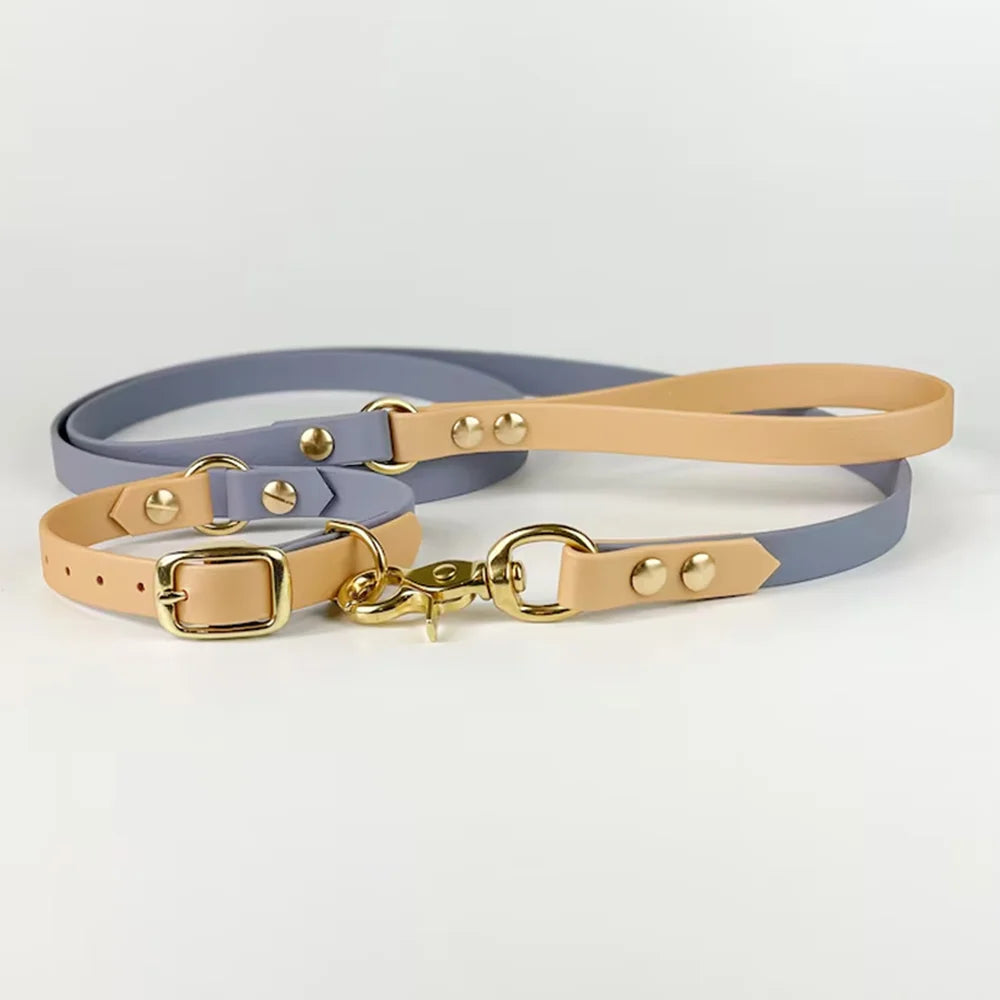PVC Coated Dog Collar and Leash Set – Waterproof Training Collar with Brass Hardware