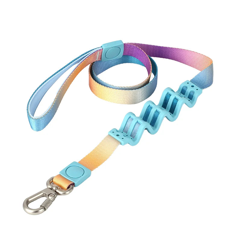 Gradient Color Dog Leash — Shock-Absorbing Polyester