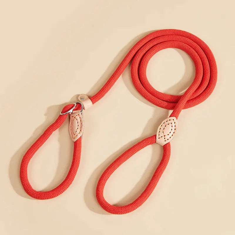 Heavy Duty Nylon Slip Lead Dog Leash — Anti-Pull, Padded Handle