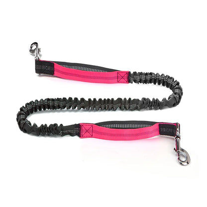 Reflective Adjustable Dog Leash — Durable Nylon Running Lead for Dogs & Cats