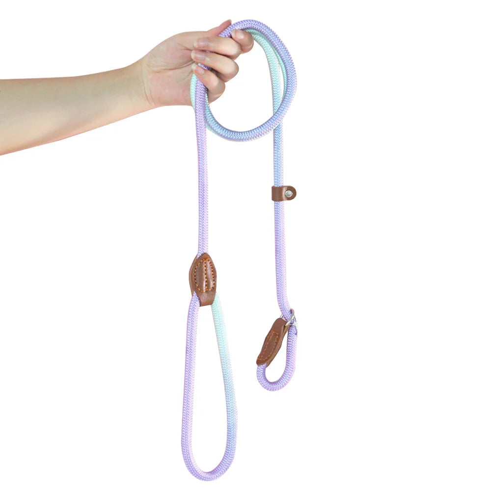 Dog Collar and Leash Set — Adjustable Nylon Pet Lead