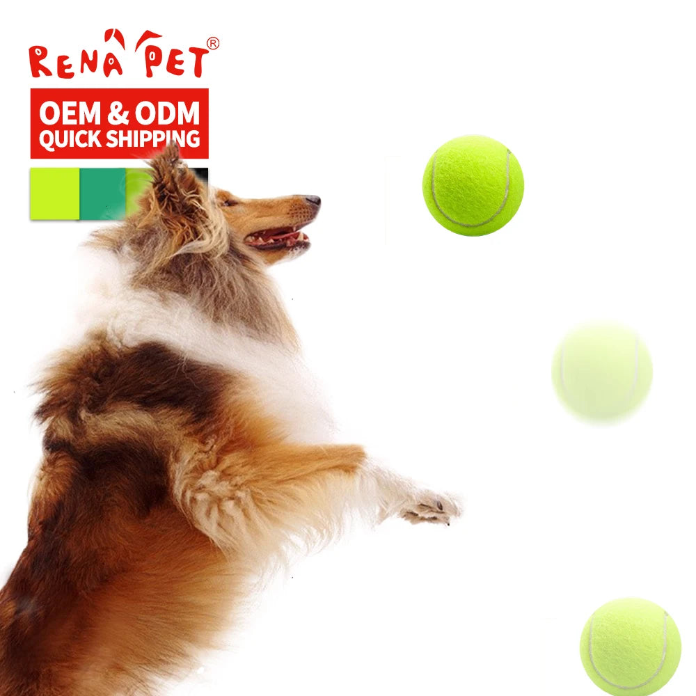 Rubber Dog Tennis Balls | 6.7cm | Durable Fetch & Chew Toy