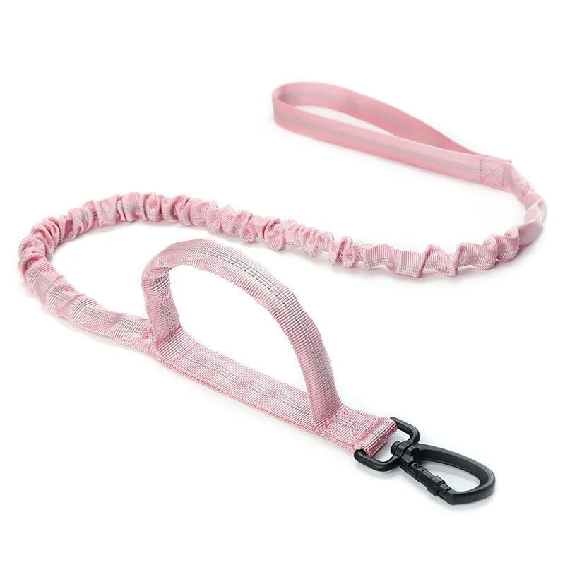 Bungee Dog Leash with Dual Handle — Anti-Shock, Padded