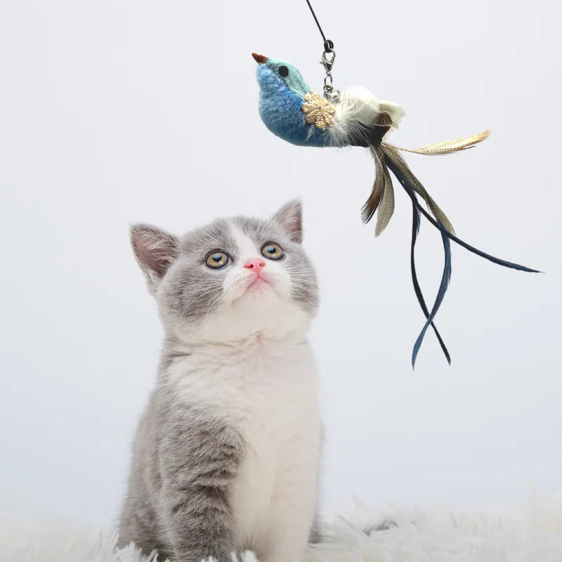 Feather Foam Bird Cat Toy with Bell | Bite-Resistant Replacement Head | 6 Styles