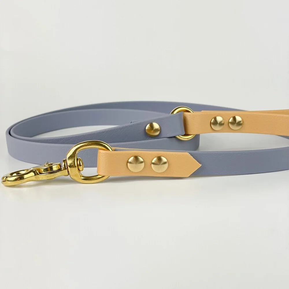 PVC Coated Dog Collar and Leash Set – Waterproof Training Collar with Brass Hardware