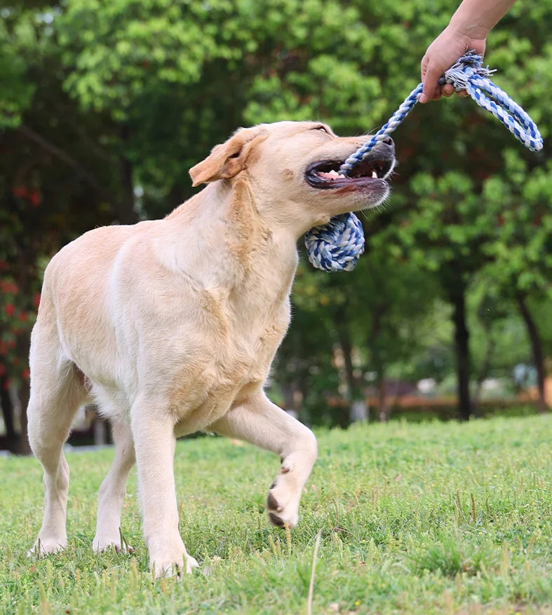 Cotton Dog Rope Toys | Bite-Resistant Interwoven Chew Toy | 12 Designs
