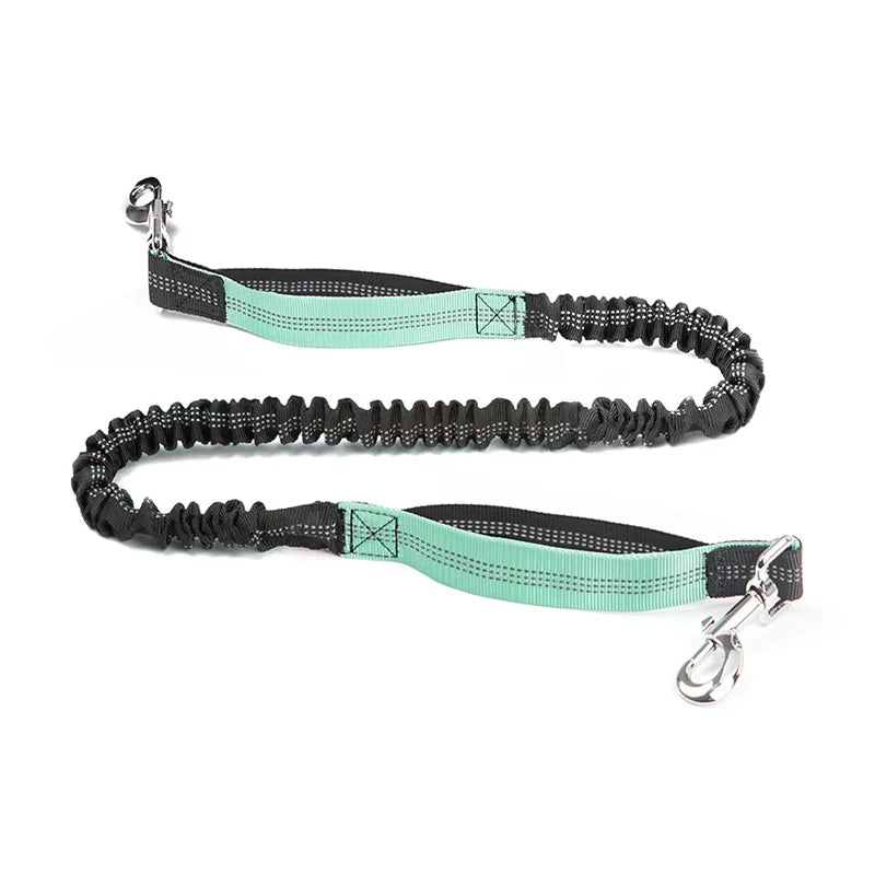 Reflective Adjustable Dog Leash — Durable Nylon Running Lead for Dogs & Cats