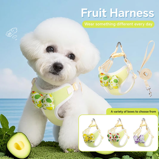 Fruit Print Breathable Dog Harness – Adjustable Mesh Vest