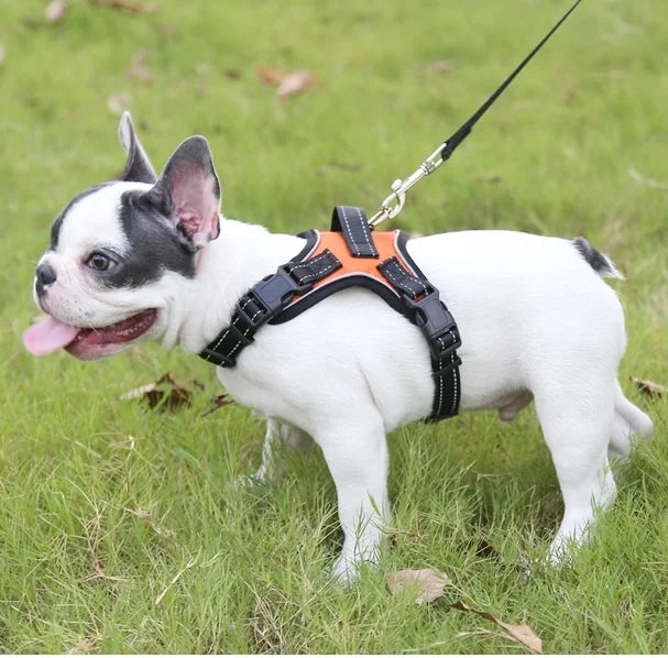 No-Pull Reversible Dog Vest Harness with Leash | Reflective Adjustable