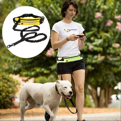 Reflective Hands-Free Running Dog Leash | Bungee Elastic Waist Belt