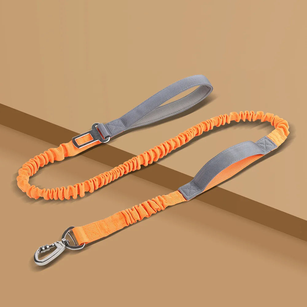 Elastic Dog Leash with Feather Decoration — Multifunctional Polyester Walking Lead 2.5cm x 125cm