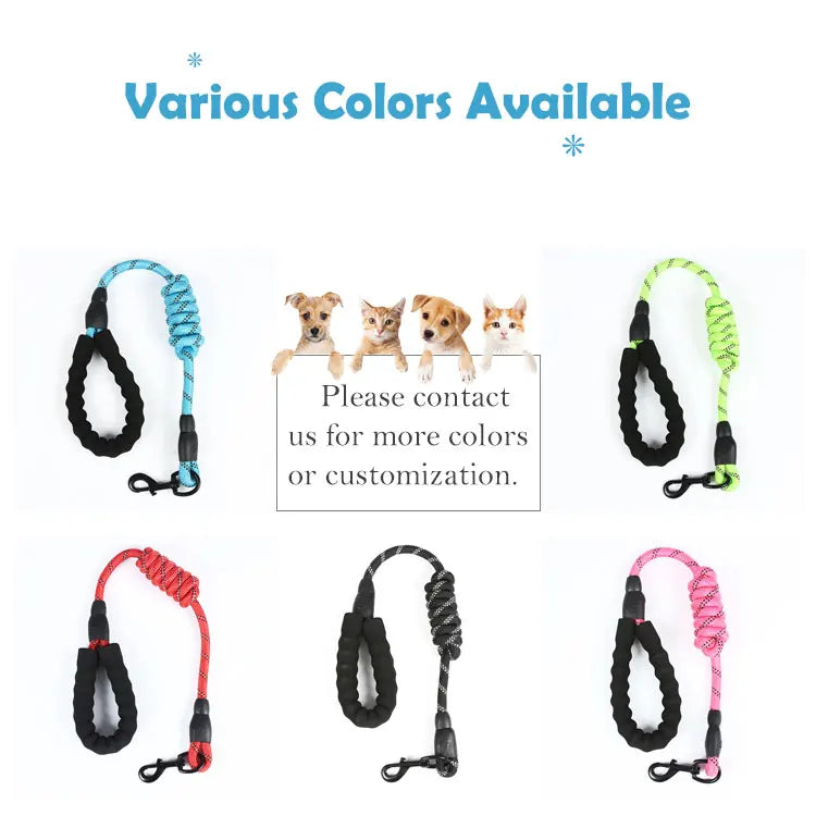 Reflective Slip Lead Dog Leash 5ft | Heavy Duty Braided Nylon