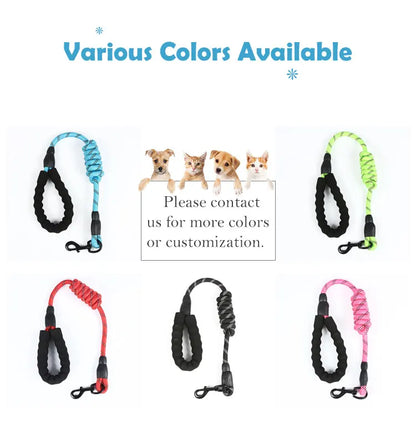 Reflective Slip Lead Dog Leash 5ft | Heavy Duty Braided Nylon